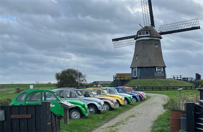 Eendentocht personeelsuitje | Ducktrail